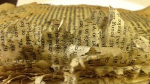 Missing Pages