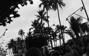 Carnaval de Bahia (7)
