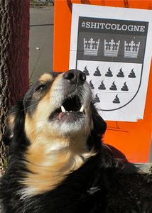 "WOOF!" "WAU!" or "SHIT STORM COLONIA"