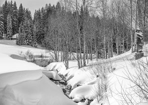 Grand Mesa Colorado BW