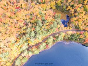 Fall Colours