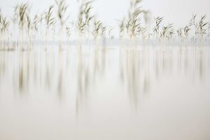 Deep Inside III #2