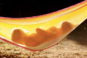 Cocoon