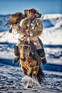 Eagle Hunter Huanthan CO098
