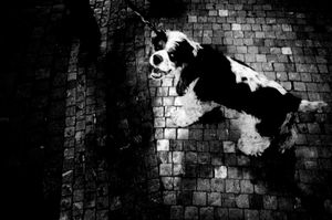 Eschaton
