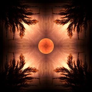 Torrey Pines State Beach: North Beach