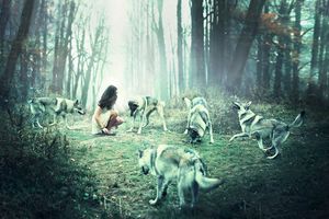 Dances with wolves © Julie De Waroquier