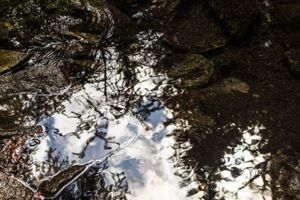 The sky in the spring