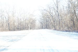 Color of Cold