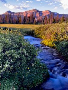 Kings Peak, Utah's highest at 13,528 feet,  peeks over the high ridge west of Gunsight Pass. Henry's Fork Basin