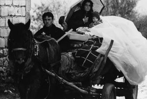 Refugee Children -  Kukes.jpg