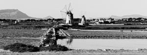 SALINE, TRAPANI