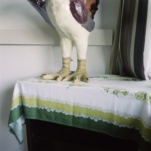 untitled
