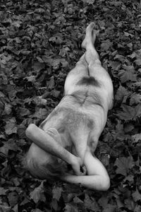 Sycamore Leaves © Sabine Schmidt