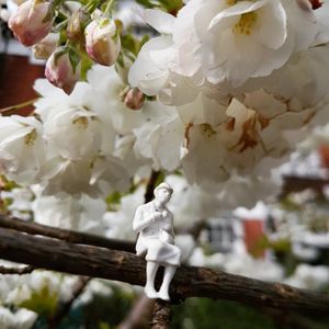 Blossom seat