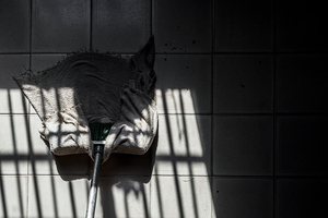 From the "Fake Memories" series / Della serie "Ricordi Fasulli"