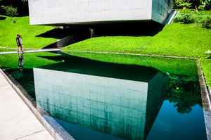 Adriana Varejao's Reflex