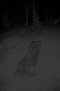 Untitled (Cover)