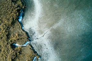 Lakeshore Operations | Ground Level Series #04