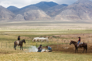Moms and girls roping, the dads handling the ground in the branding. Lower Siard, Nevada 2015