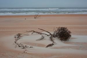 Flotsam