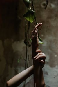 Hand Leaves