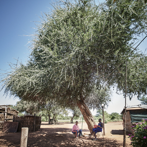 Farm workers