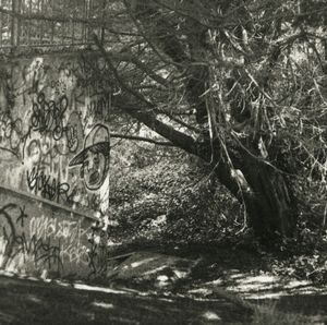 Man and Nature's Chaos © Erin Malone