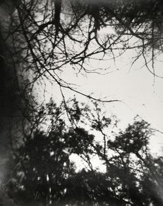 Positive III from PCL_03, Gelatin Silver Print, 2012© Ross Faircloth