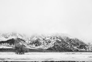 Snow Field Variation