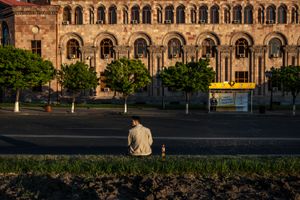 Armenian velvet 03