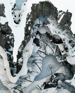 Topography Study XIX