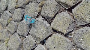 Debris (still lifes) No. 12  canon digital camera  2018