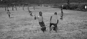For the love of the game