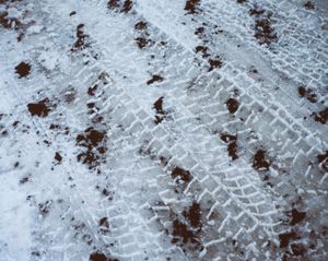 Icelandic Surfaces #17