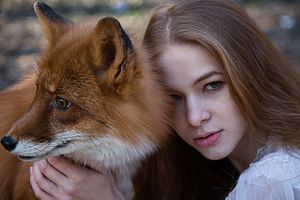 Foxes
