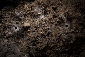 spiderwebs as bullets