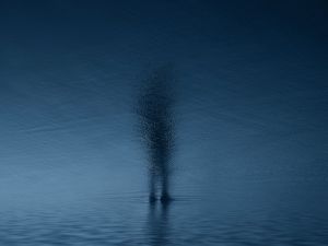 © Htet T San