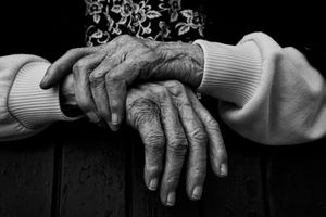 HANDS