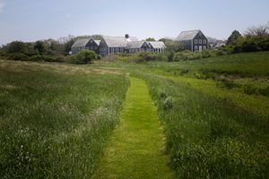 Meadow Path