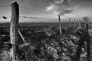 Alambrado campo - Wire fence country