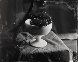 white bowl