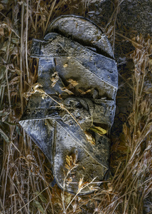 Forgotten Footsteps