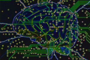 data 11