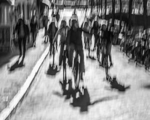 Delft Bicyles/Blur #1