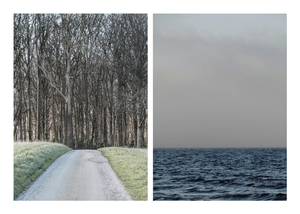 The Road