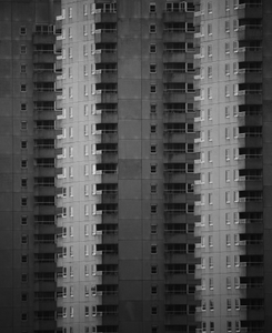 Concrete jungle