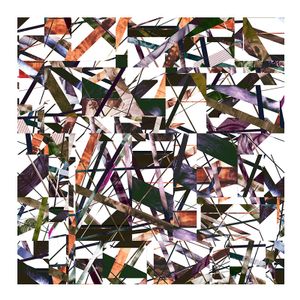 Untitled 13