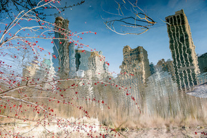 Traces of a parallel world