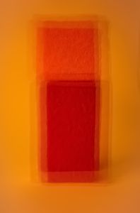 Ordinary subjects and color field_1
